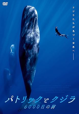 パトリックとクジラ 6000日の絆 DVD