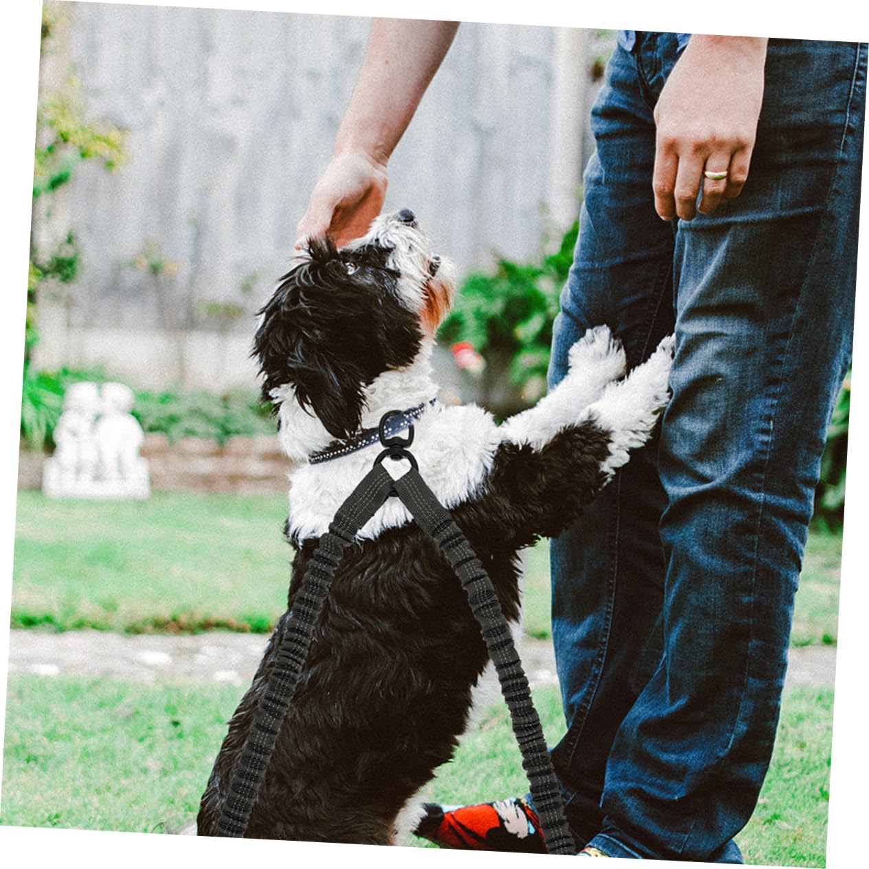 ORFOFE 3pezzi Guinzaglio Per Cani Due Teste Con Riflessione Di Scuro e Guinzaglio Elastico Per Passeggiate Sicure e Controllo Del Tuo Cucciolo