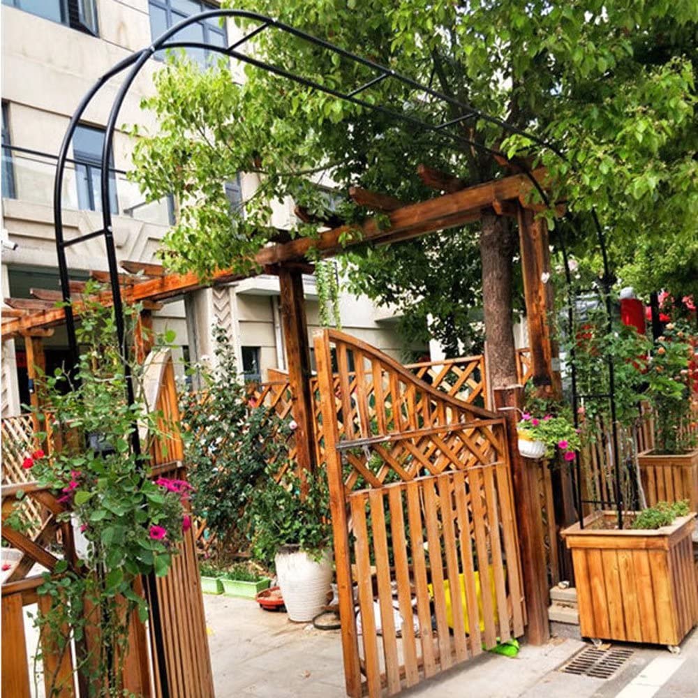 Arche de jardin en métal contre l'affaissement des plantes grimpantes