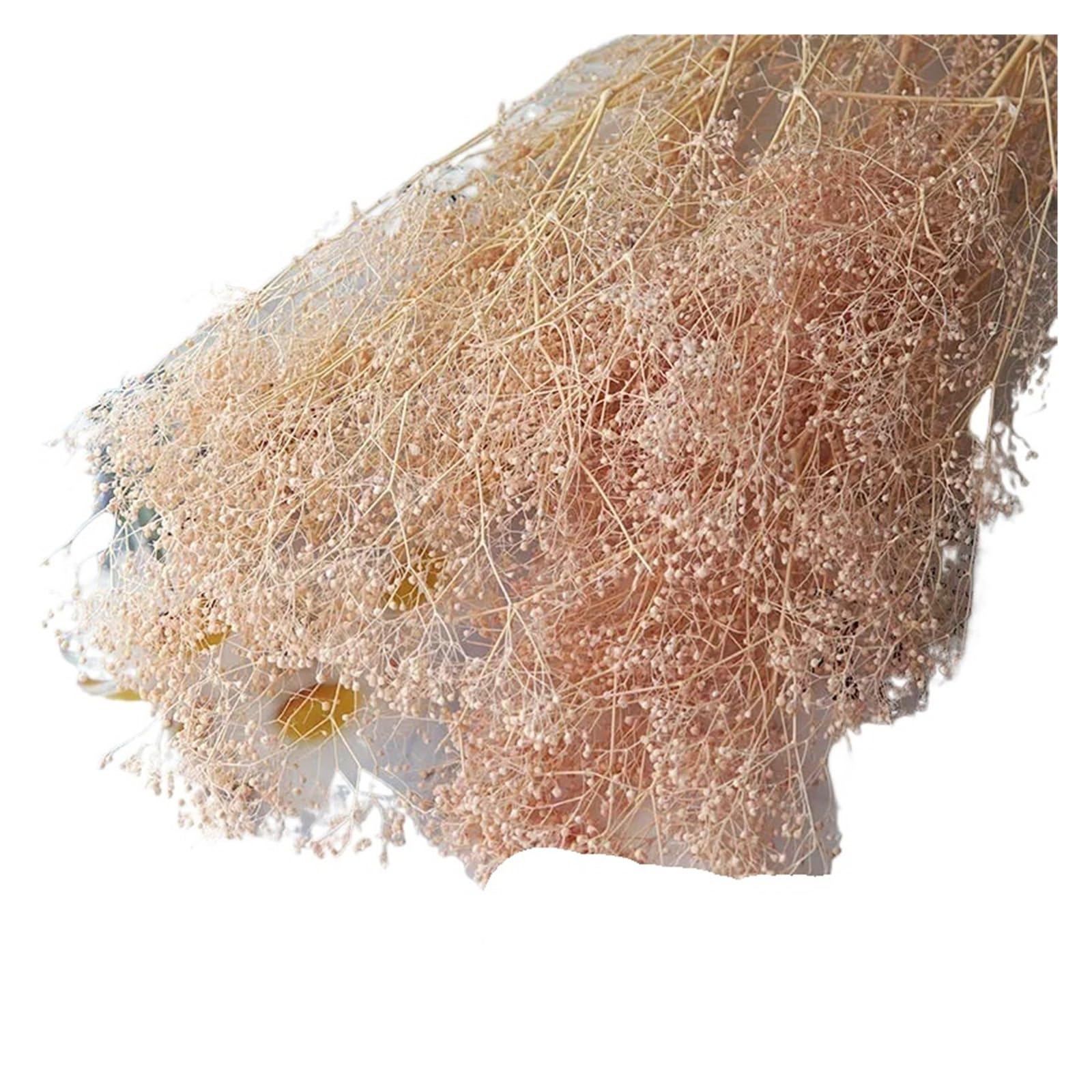 WJIAYAO dried gypsophila flowers 40g Beautiful Mini Baby Breath Wedding Decoration Gypsophila Flower Preserved Flowers for Home Decor DIY Material(Pink)