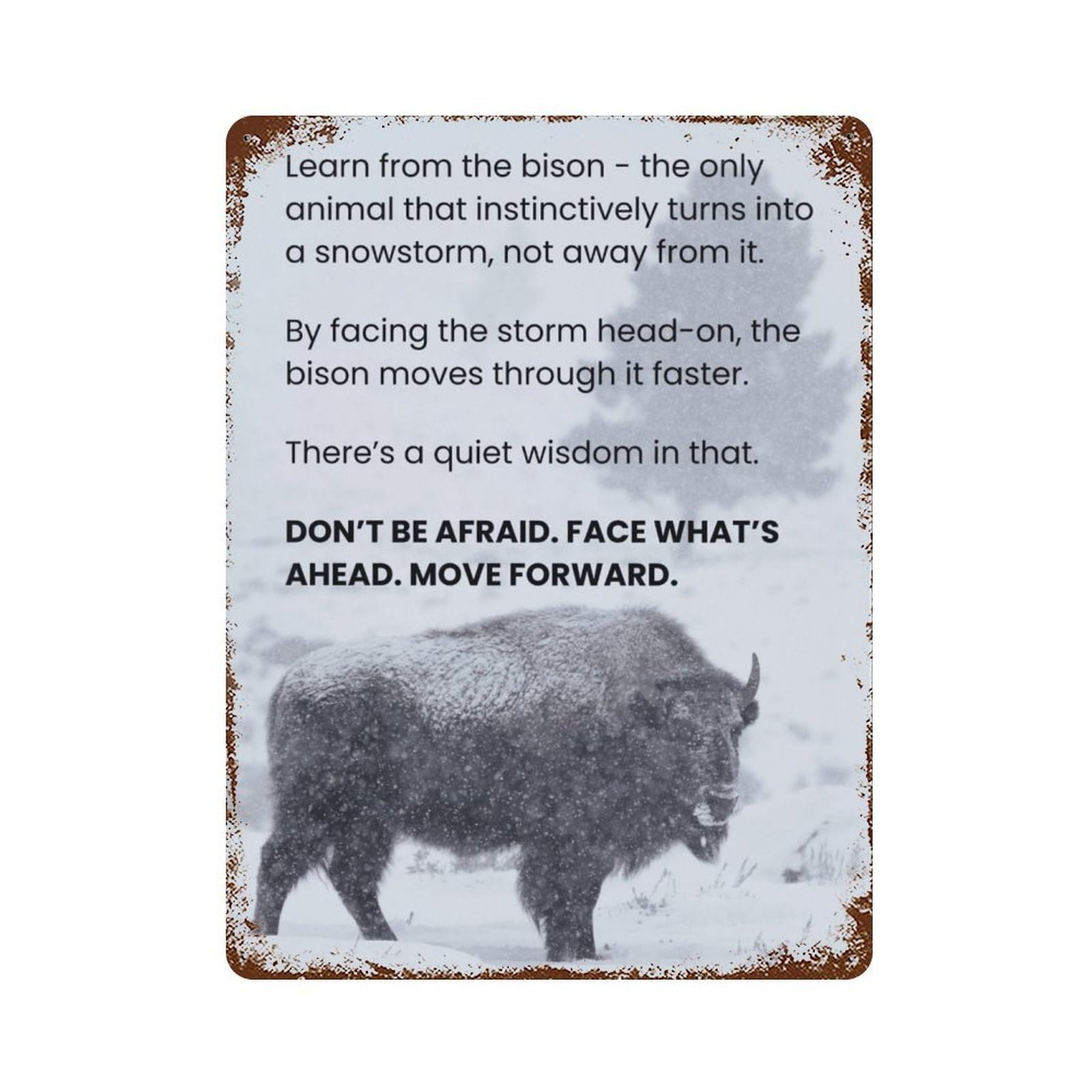 xiaoxiaoshen Facing The Storm Poster, Wild Boar Motivational Quotes, Courage And Resilience Wall Decor Art Metal Tin Poster Modern Home Decor Art Home Bar Shop Decorations Vintage Sign 40x30cm