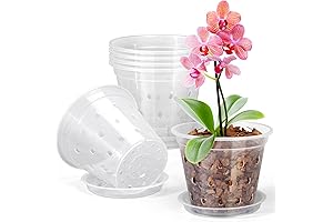 Pack of 6, 4-Inch Clear Plastic Orchid Pots with Holes and Saucers (4 Inch)