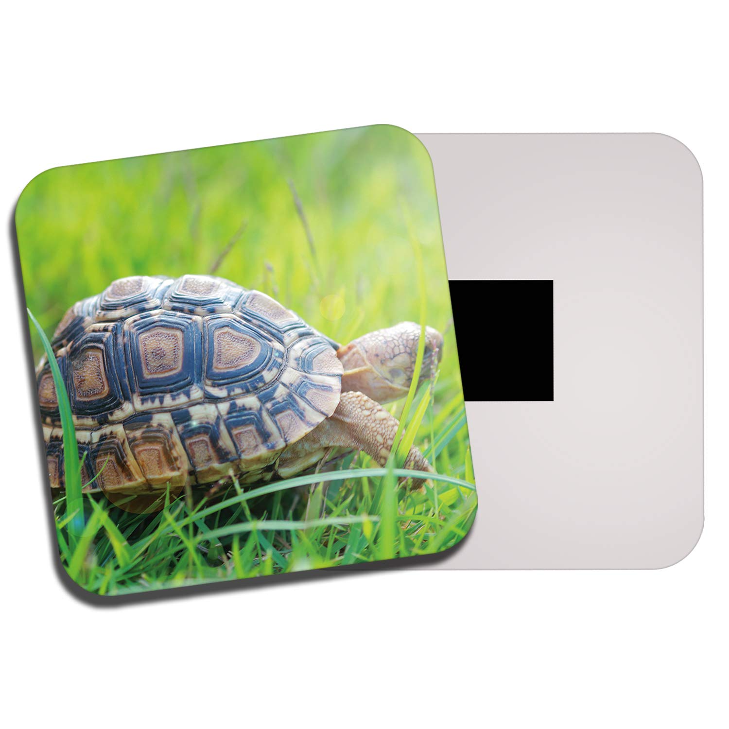Destinationvinyl Multicolor 1 X Cute Tortoise Fridge Magnet - Turtle Pet Animal Reptile Kids Fun 8290