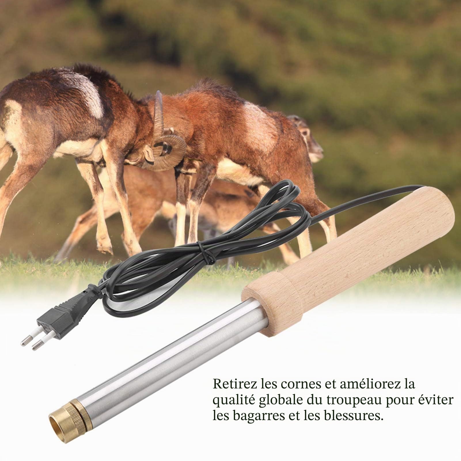 Électrique chèvre Veau écorneur, Fer exsangue Chauffage Rapide bovins Corne Agneau Ferme Outil bovins Moutons écorneur électrique sans Transfusion Chauffage bovin écorceur
