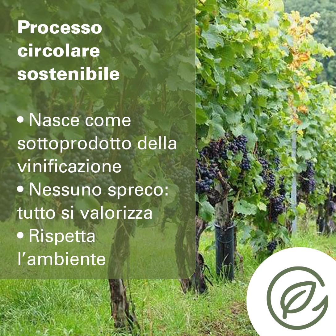 PIAVE 1938 - Olio di Semi d’Uva 25L – Olio di Vinaccioli Italiano Spremuto a Freddo – Alto Punto di Fumo 245°C – Ricco di Omega 6 e Vitamina E – Per Frittura, Cottura, Pasticceria e Uso Professionale