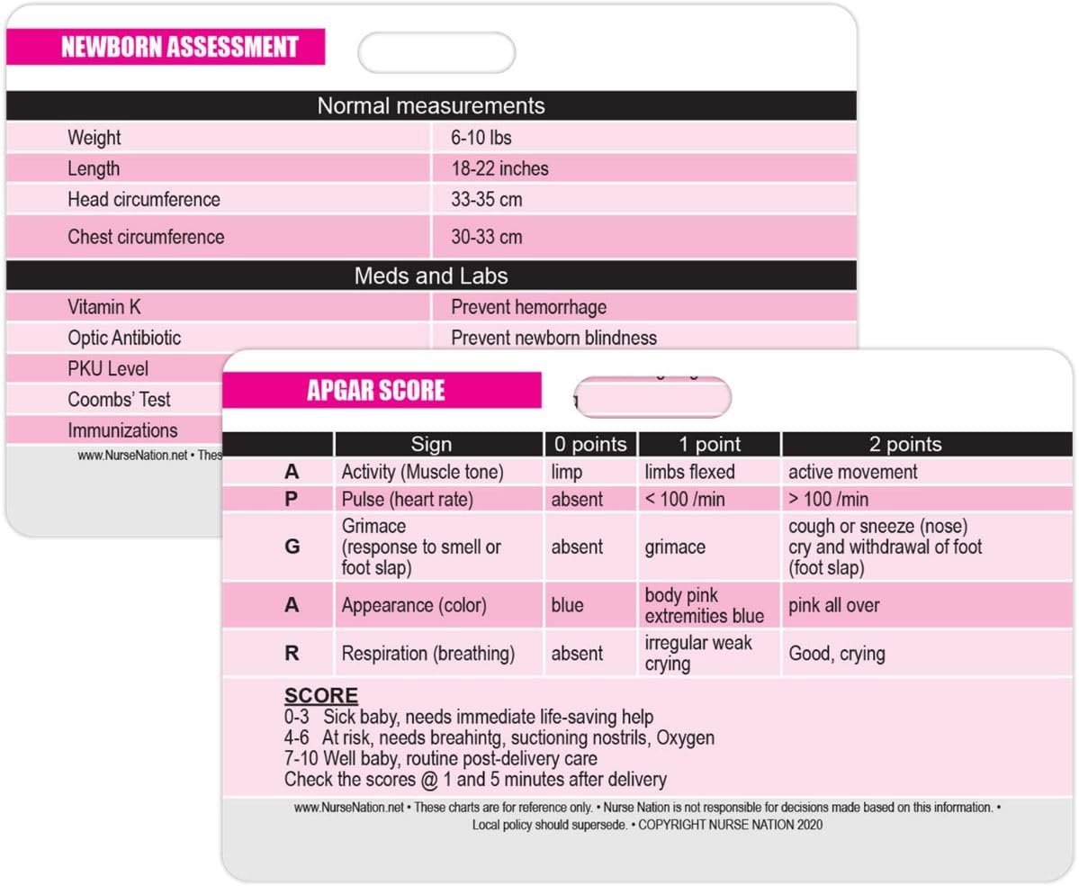 APGAR Score Reference and Newborn Assessment Horizontal Badge Card - Excellent Resource for Nurses, Nursing Clinicals, and RN Students - Great Nursing School Supplies and Accessories