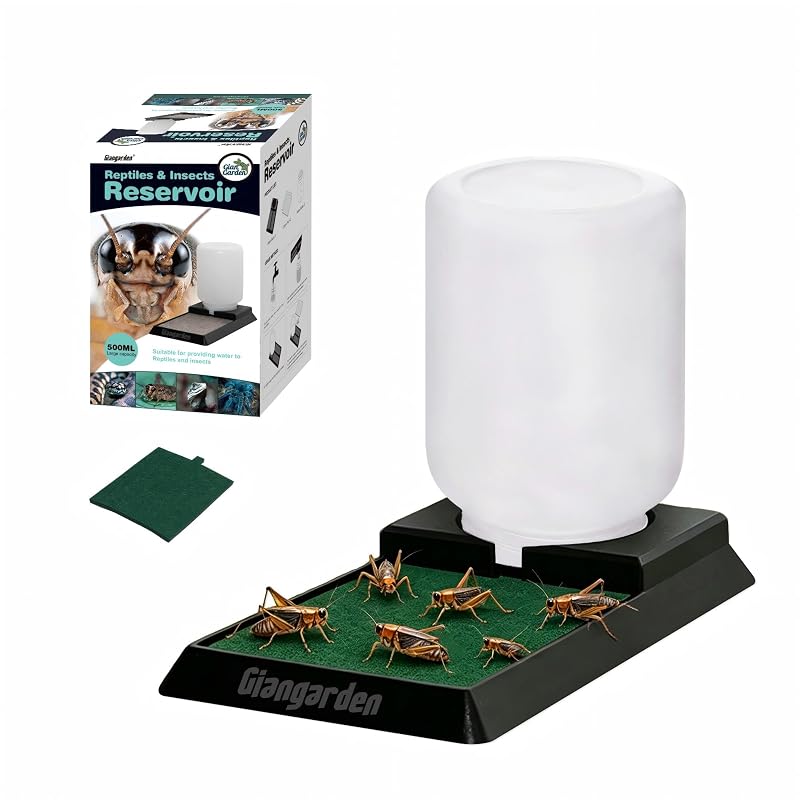 Bebedouro Automático por Gravidade para Répteis e Insetos com Esponja Giangarden WAF05, 500 mL