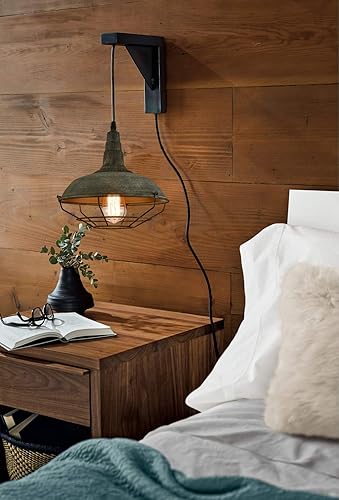 Miniatura 6 de DANSEER Lámpara colgante con enchufe de granja con cable colgante de 16 pies