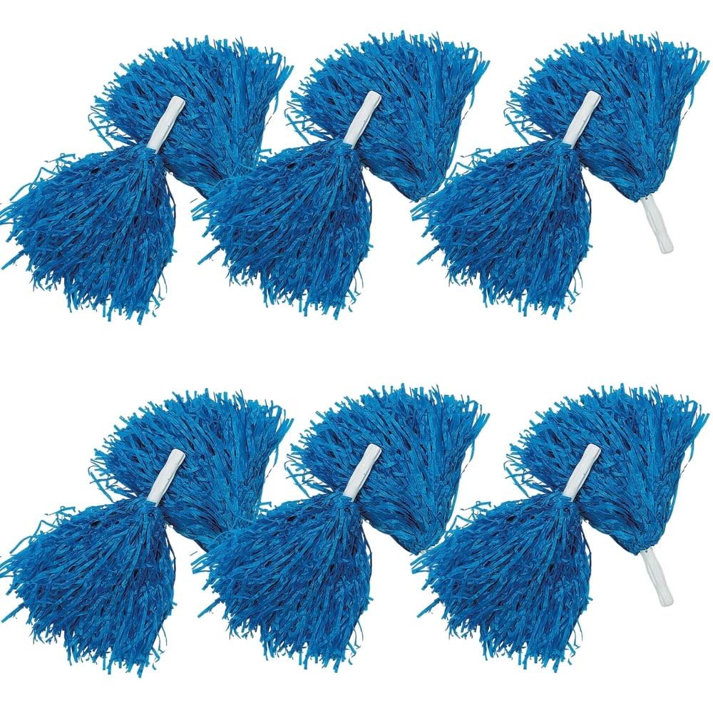 Amazon.com: Fun Express - Royal Blue PoM-Poms (12pc) - Toys