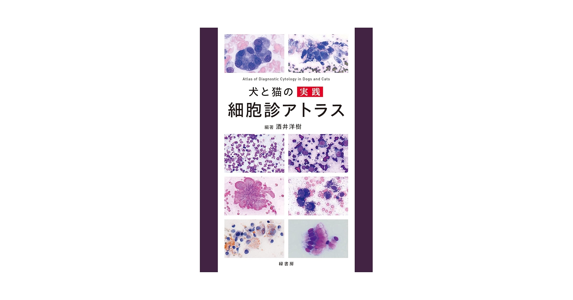 71DpR7vvxqL.jpg_BO30,255,255,