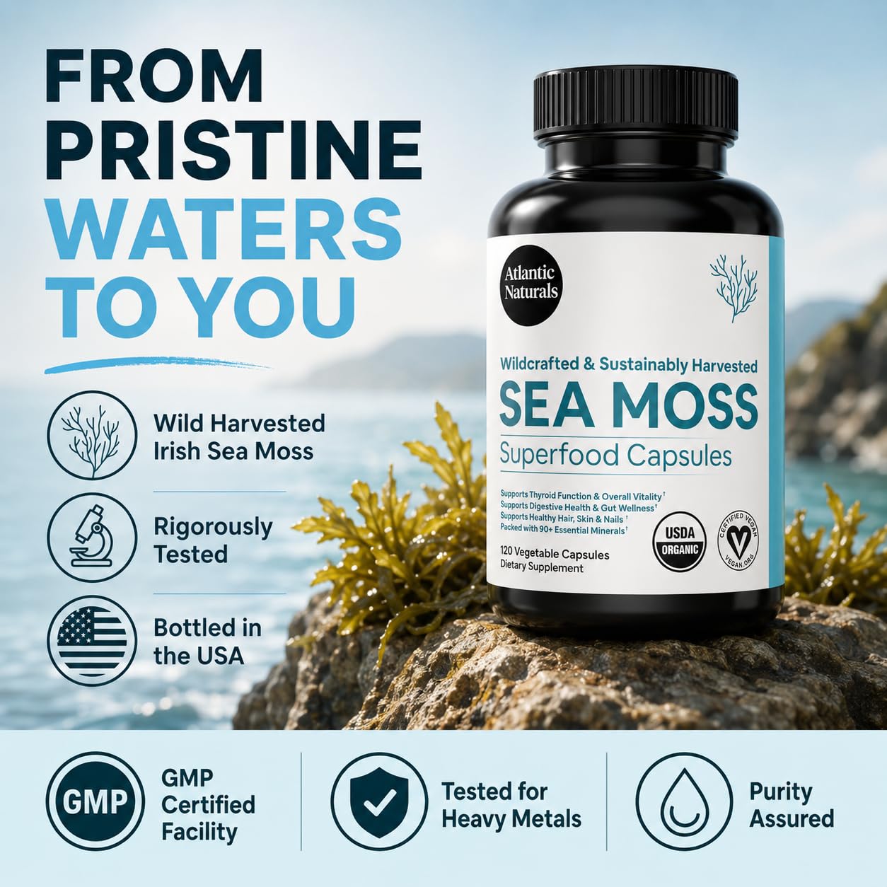 Atlantic Naturals Irish Sea Moss Capsules 1000mg - Organic Wildcrafted Seamoss Supplement, 120 Vegan Pills for Women & Men - Immune, Energy & Skin Support, 2-Month Supply — Amazon image 7