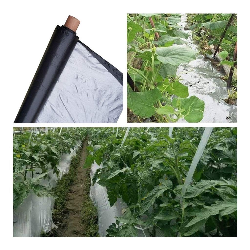 Película de plástico para invernadero, huerto, árbol frutal, plateado, negro, para control de malezas, 50 m