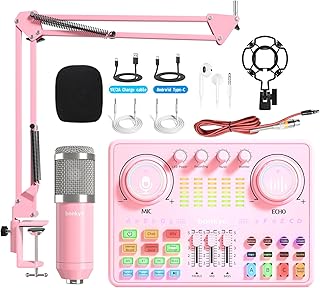 Podcast Equipment Bundle: Audio Interface & DJ20 Mixer with XLR Mic, Voice Changer, 2400mAh Battery for Podcasting, TikTok Live Streaming, and Gaming (Pink)