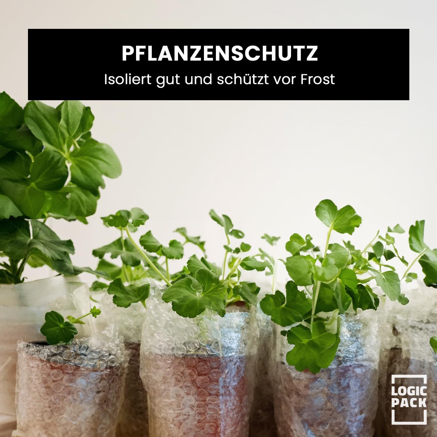 Luftpolsterfolie Rolle 100m x 120cm 50µm 2-lagig Noppenfolie Umzug Versand Verpackung recycelbar Made in Germany