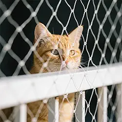 Rede de segurança para gatos para janela de varanda rede de proteção transparente 10 x 3 m para gatos, animais de estimação, anti-escape, cerca de segurança invisível, inclui conjunto de fixação