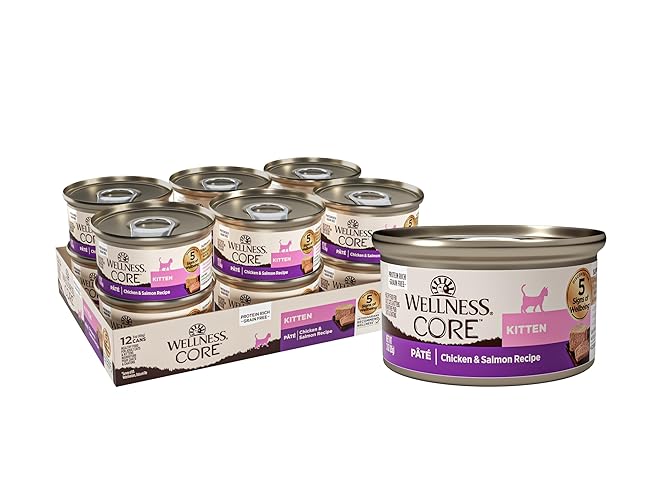 Wellness CORE Pate Kitten Wet Cat Food, Natural, Protein-Rich, Grain Free, 3 Ounce, 12 Pack (Chicken & Salmon) - Chicken & Salmon - 3 Ounce (Pack of 12)