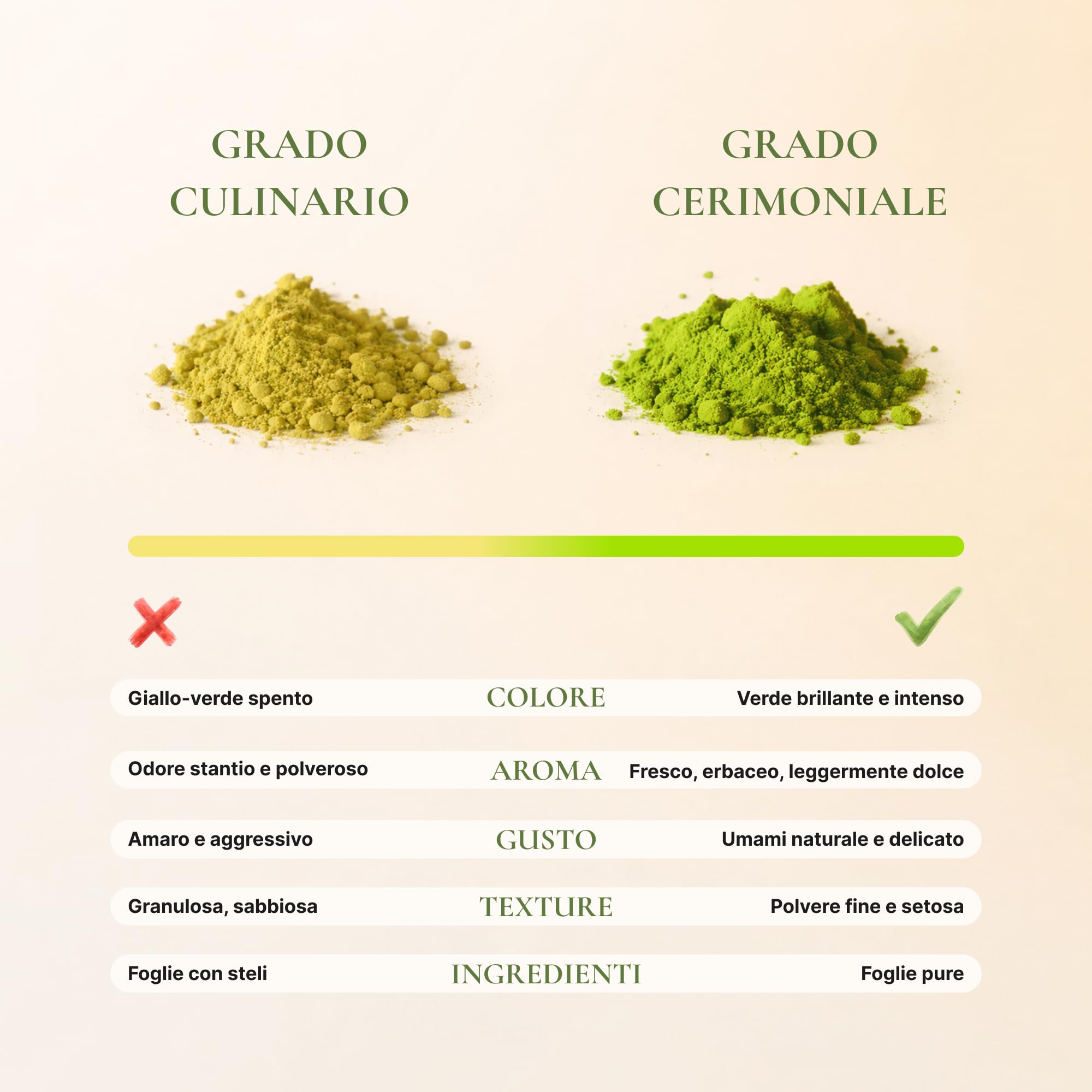 Avelor Sabi Polvere di Tè Matcha (0,5kg / 500g) – Formato Professionale – Grado Cerimoniale Autentico – Macinato a Pietra per Baristi, Caffetterie & HoReCa