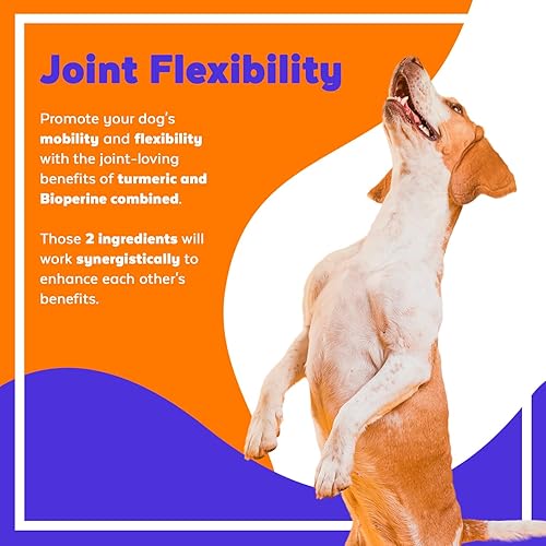 Miniatura 3 de Jack & Milo Cúrcuma para perros, suplemento antiinflamatorio, de cadera y articulaciones, alivio del dolor de artritis del perro, apoyo para la