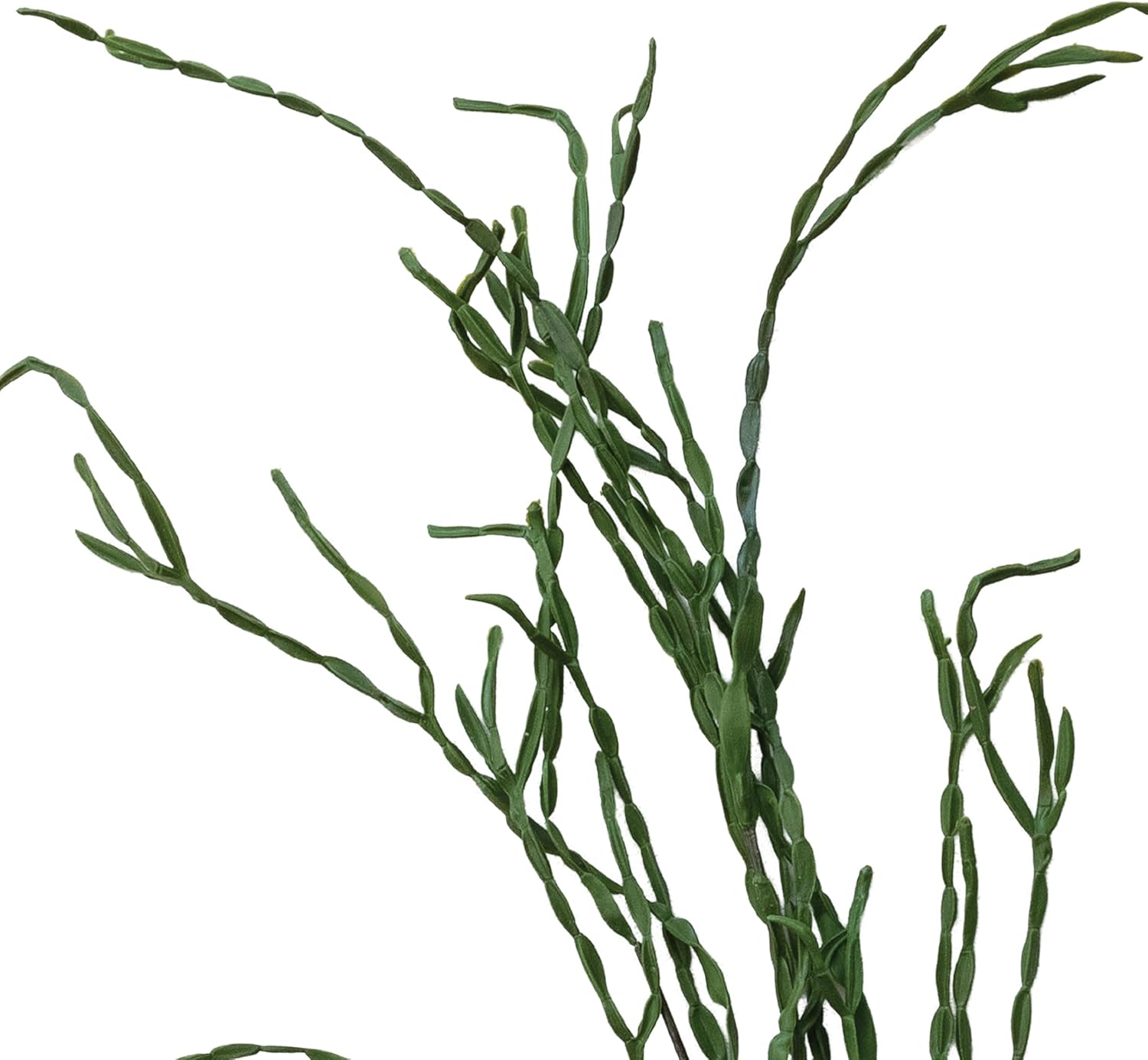Creative Co-Op Faux Cactus Pick, Green