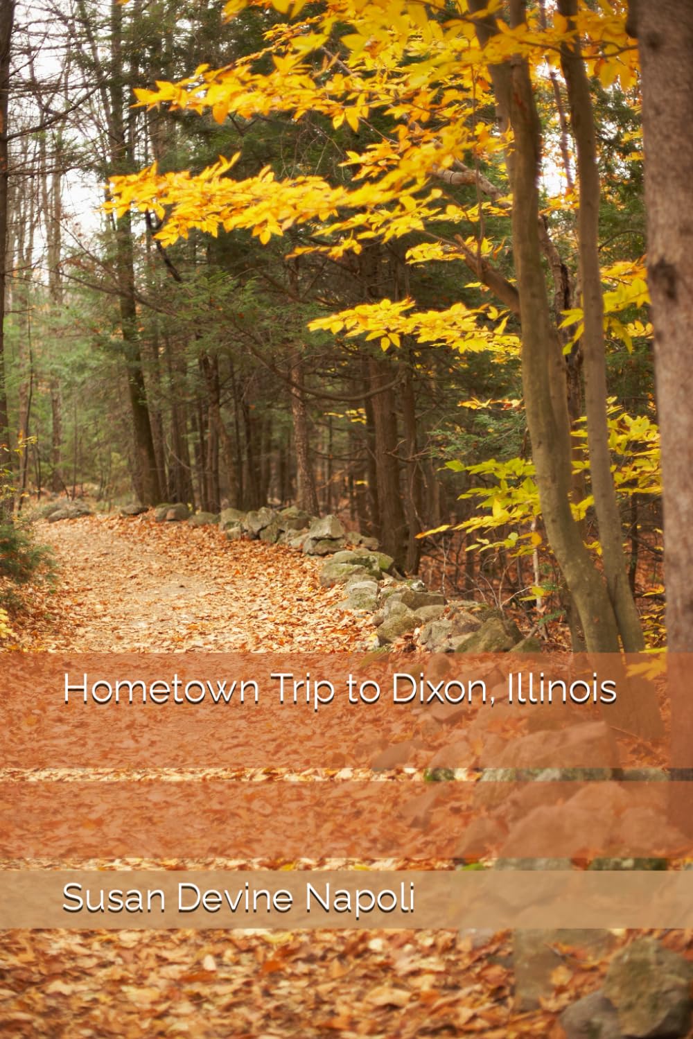 Hometown Trip to Dixon, Illinois