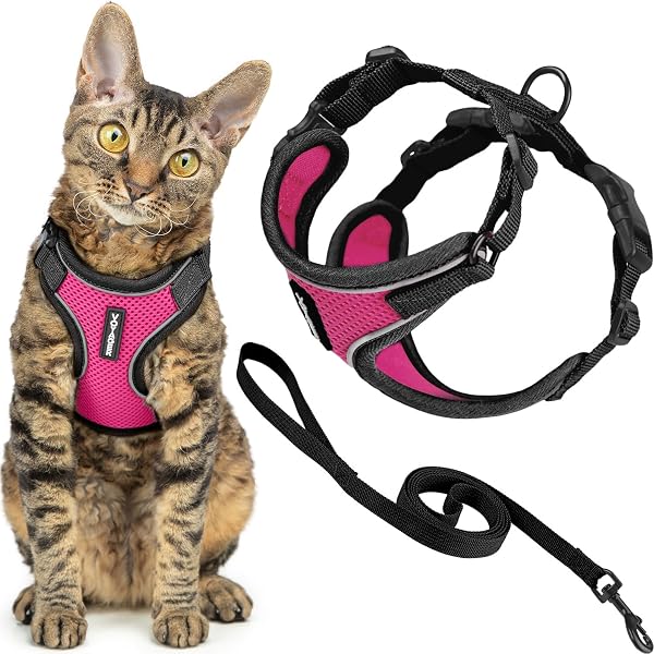 Voyager Escape Proof Cat Harness and Leash set with Reflective Stitching, Neoprene Handle 5ft - Supports Small, Medium and Large Cats, Kittens for walking by Best Pet Supplies - Black Trim-Fuchsia, XS - 1