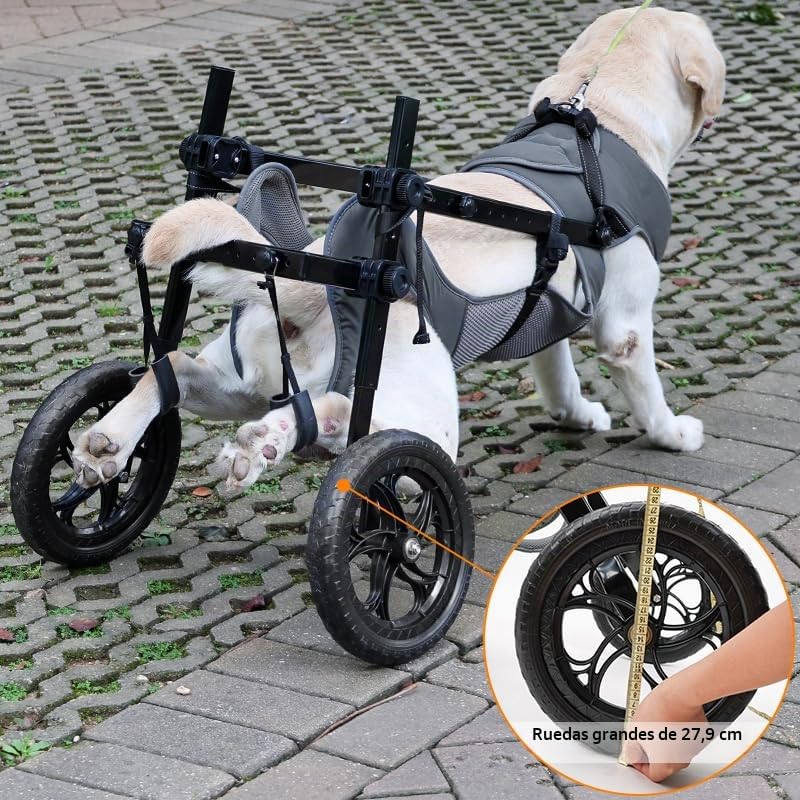 Silla de ruedas grande para perros con patas traseras, ayuda a la movilidad y carrito para mascotas discapacitadas