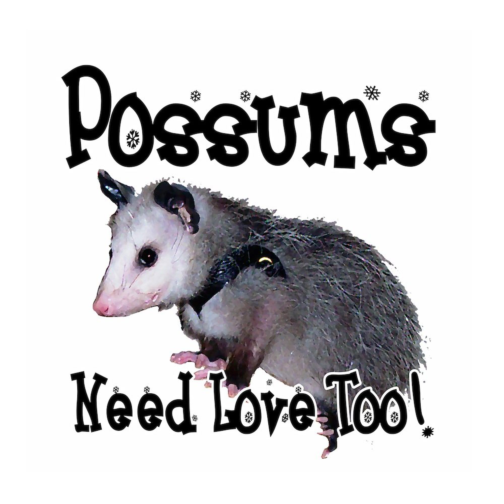 CafePress Possums Need Love Oval Sticker Oval Car Bumper Sticker
