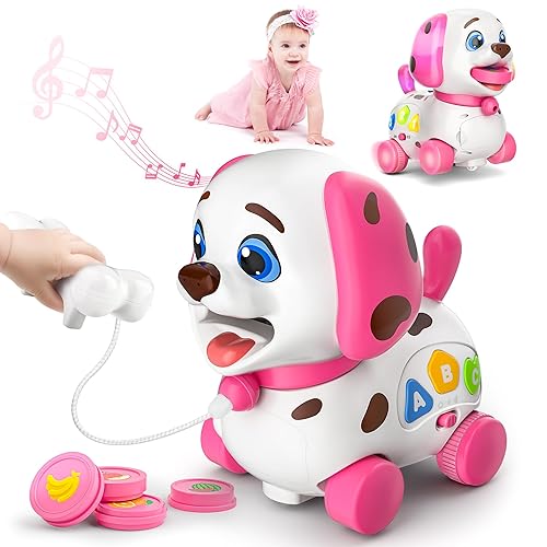 Musical Toys for 1 Year Old Girl Gifts, Bilingual Baby