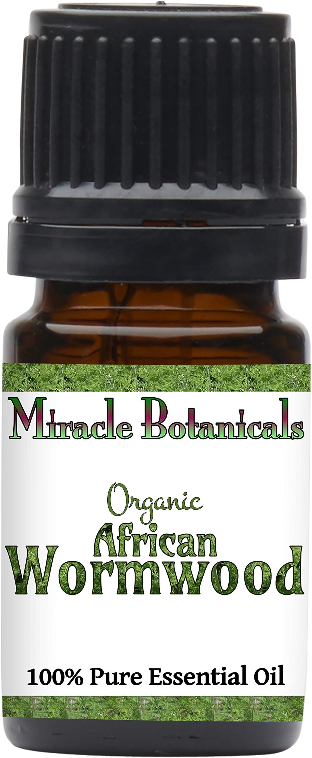 Miracle Botanicals Organic African Wormwood Essential Oil - 100% Pure Artemisia Afra - Therapeutic Grade (5ML)