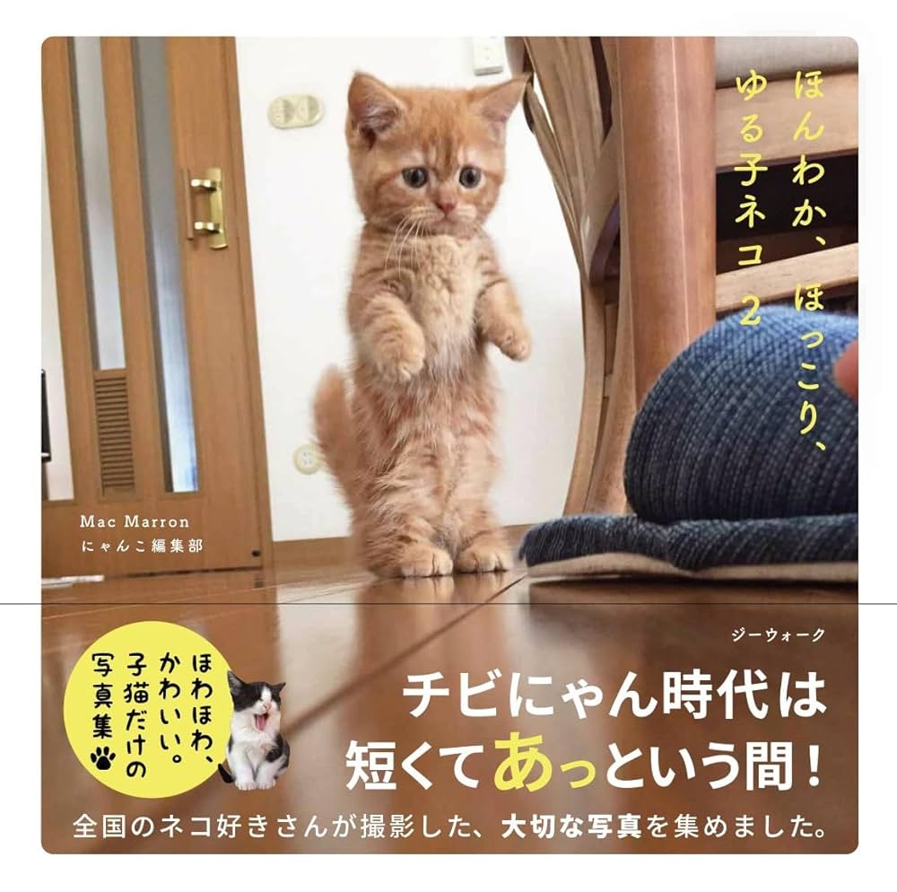 ほんわか、ほっこり、ゆる子ネコ 2 ([テキスト]) | Mac Marron