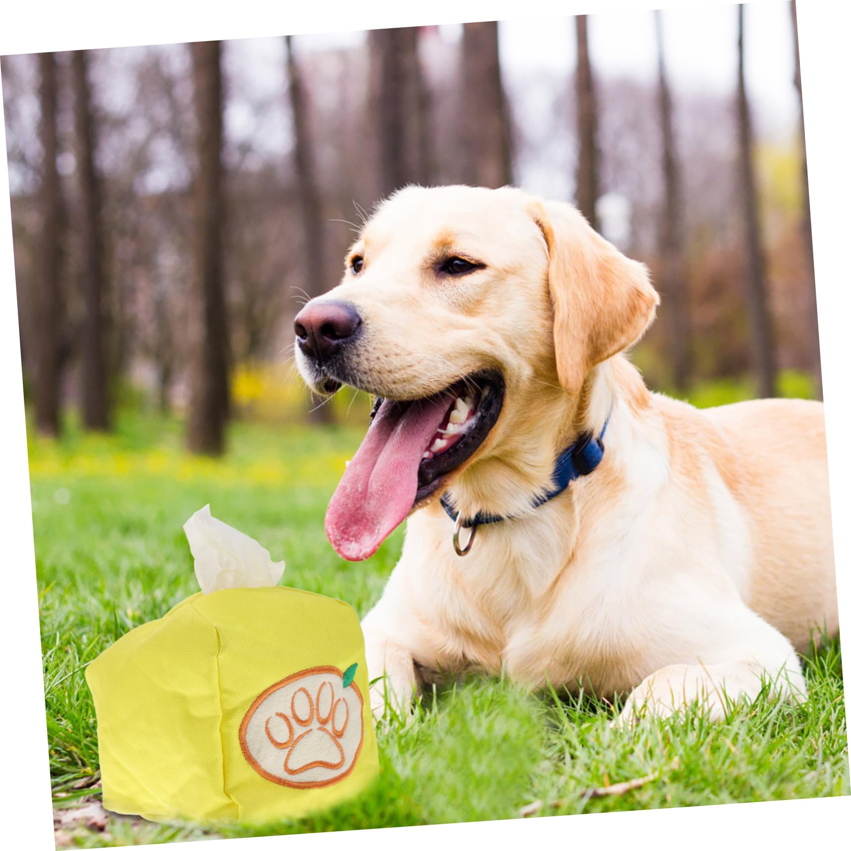 Sosoport 5stücke Pet Snuffle Toy Für Hunde Interaktives Spielzeug Zur Geruchserkennung Energiestimulation Und Gewichtsreduktion Lustiges Indoor-hundespielzeug