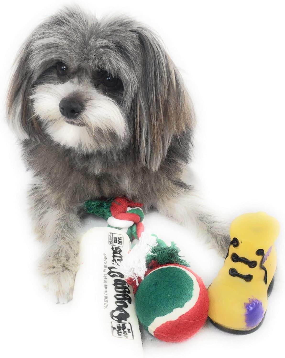 Christmas Stocking for Dogs. Pack of 2. Squeaky newspaper toy, squeaky boot toy, a red, green and white tennis ball and a red, white and green cotton knotted rope.