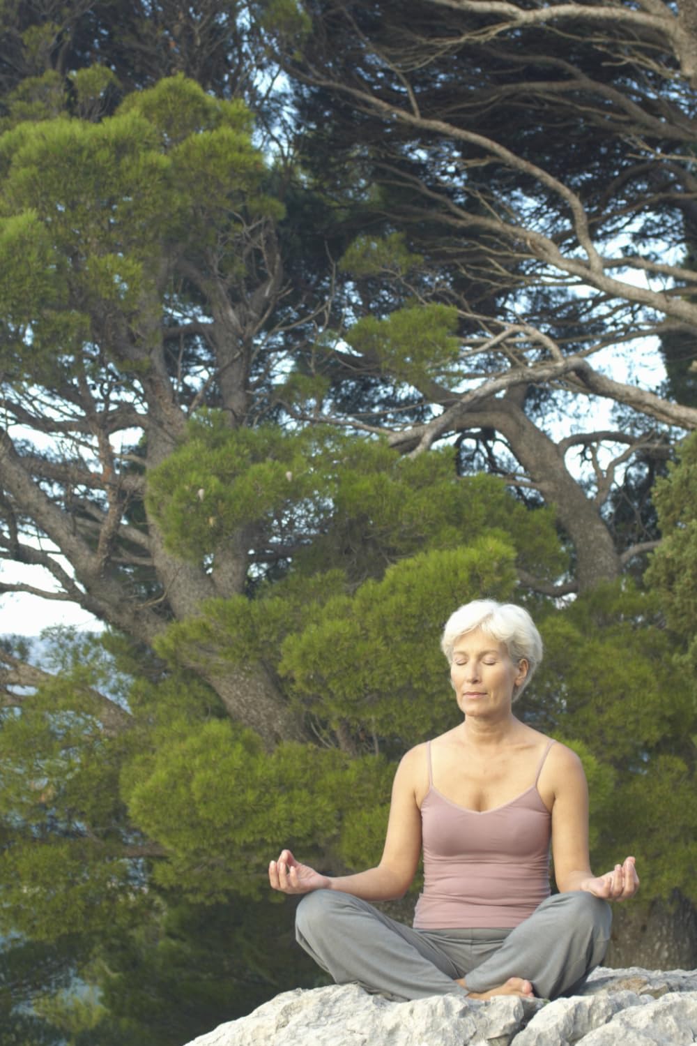 Tai Chi Practice: The Inner Path Unfolding: Tai Chi form — steady, luminous, and inviting
