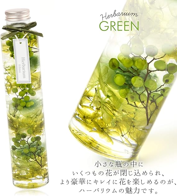 Amazon フェリナス ハーバリウム 丸瓶 1本 グリーン 緑 バレンタインデー ホワイトデー 母の日 花 ギフト 贈り物 結婚 記念日 誕生日 プレゼント Maru Green プリザーブドフラワー オンライン通販