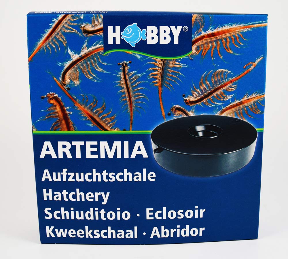 Brine shrimp hatchery dish eggs sold separately 