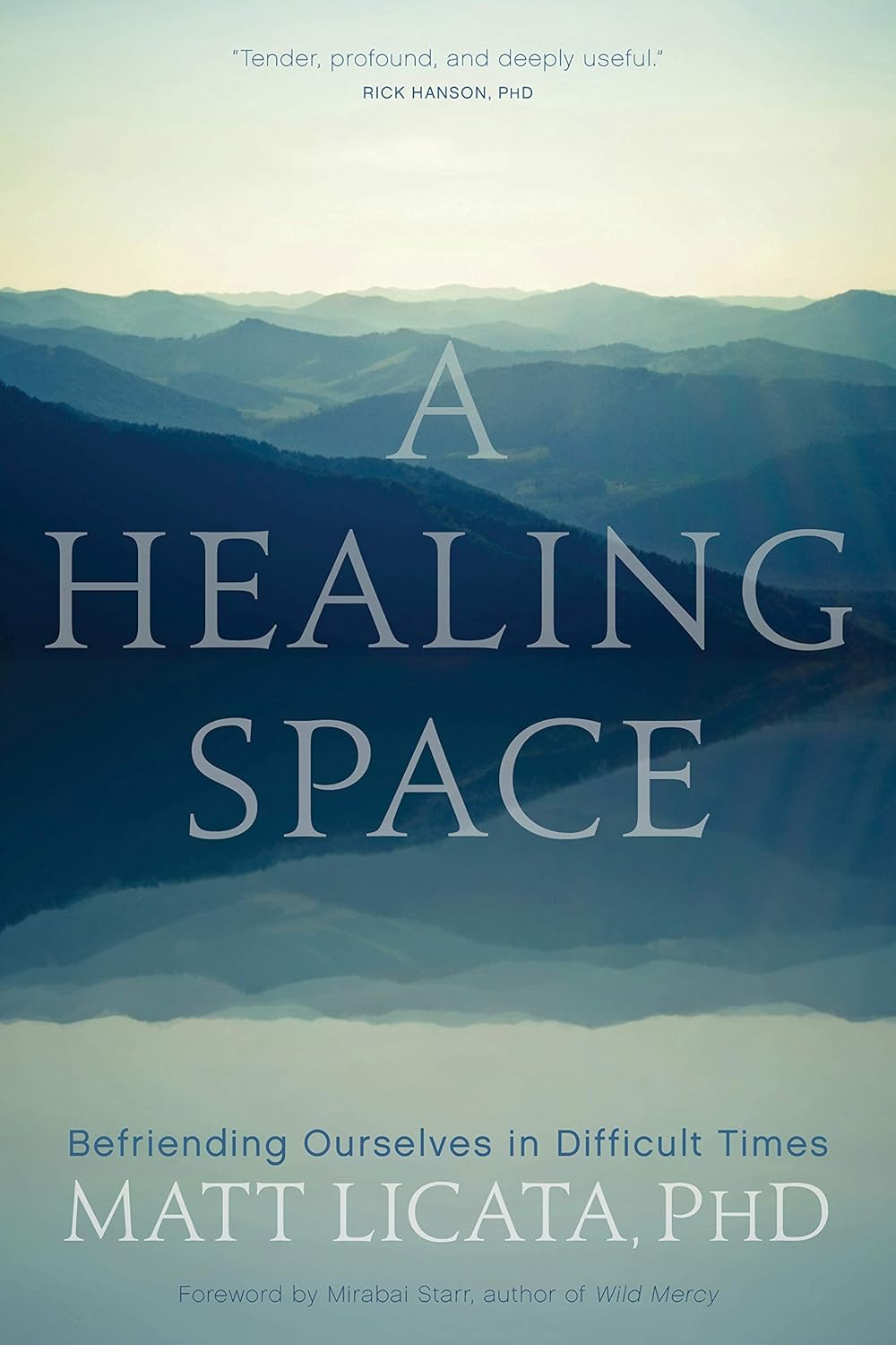 Healing Space Licata, Matt 9781683643739 Books
