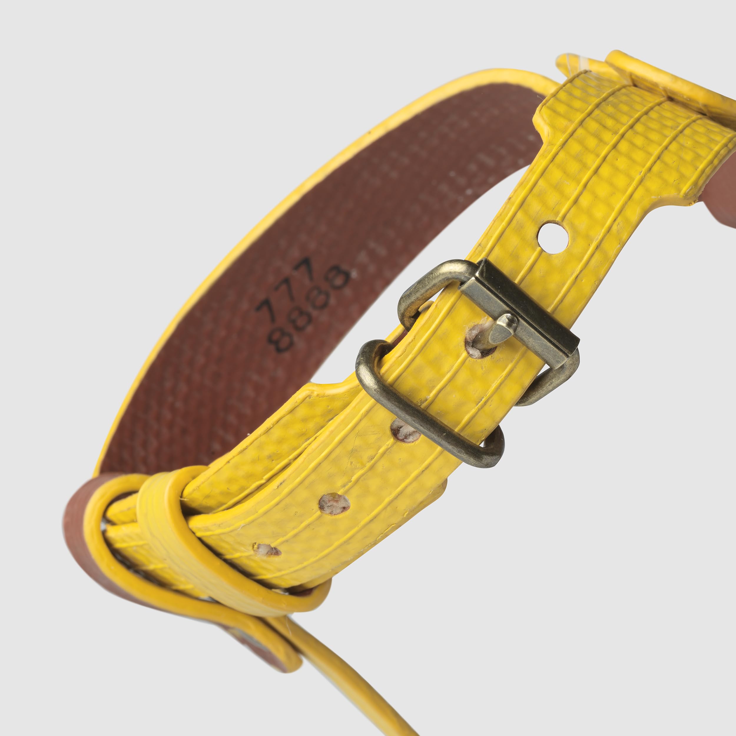 Arnés para Perros PILATUS M | Diseño Suizo Hecho a Mano en España | Mangueras de Bomberos Recuperadas de Suiza, España y Francia | Arnés Cómodo y Resistente