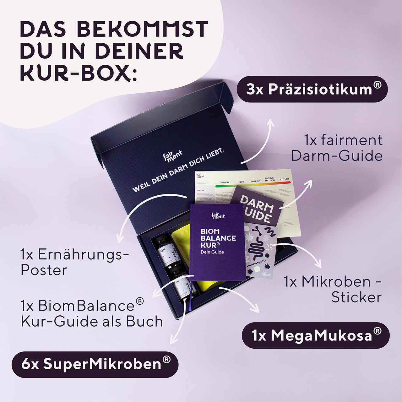 fairment BiomBalance® Kur mit 6x SuperMikroben®, 3x fairment Präzisiotikum® und 1xfairment MegaMukosa®