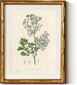 InSimSea Gold Bamboo Framed Wall Art, Plants Fern Botanical Prints, 11x14In