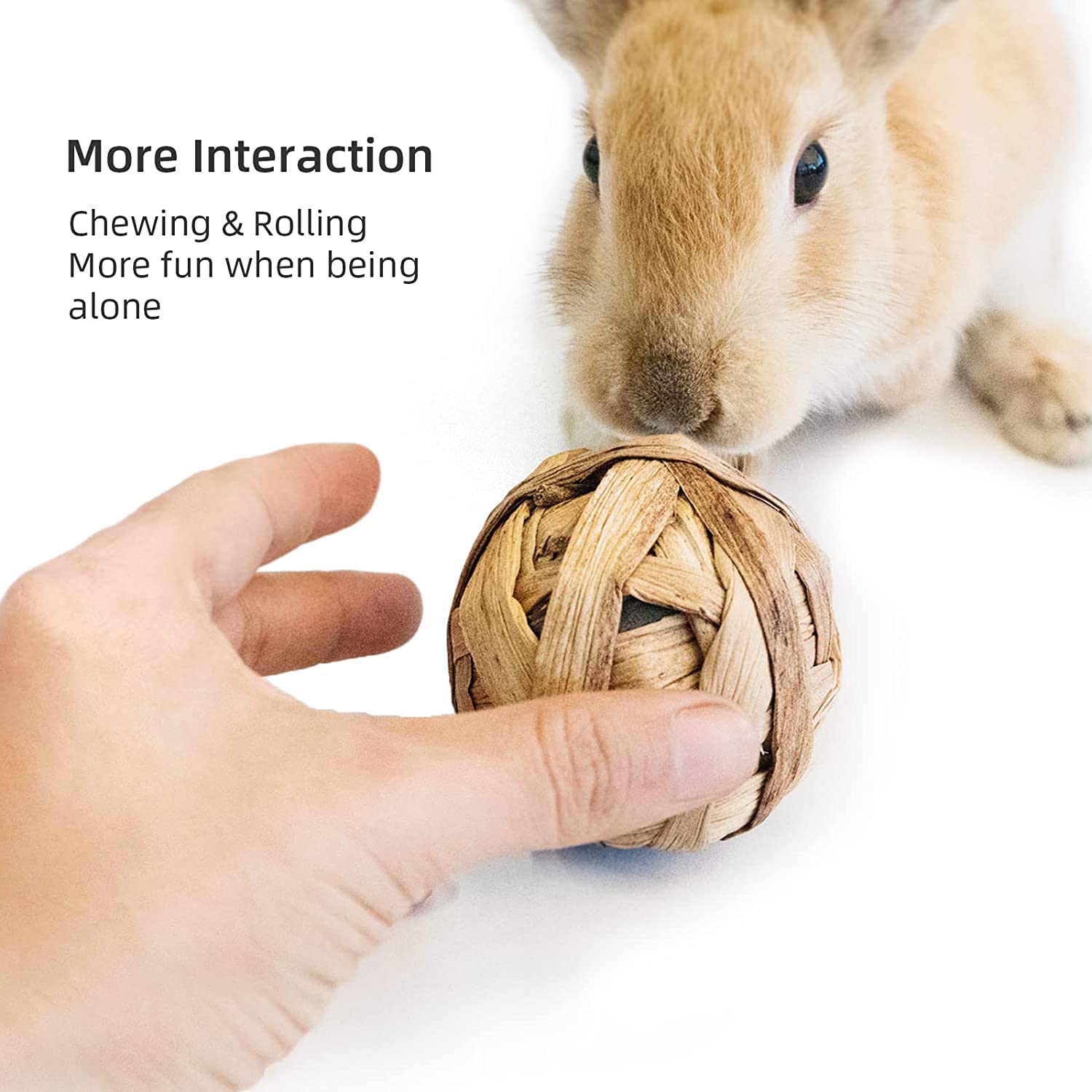 Shappy 9 Pcs Thanksgiving Guinea Pig Toys – Natural Wood & Grass Chew Toys For Rabbits, Hamsters, Chinchillas & Small Pets