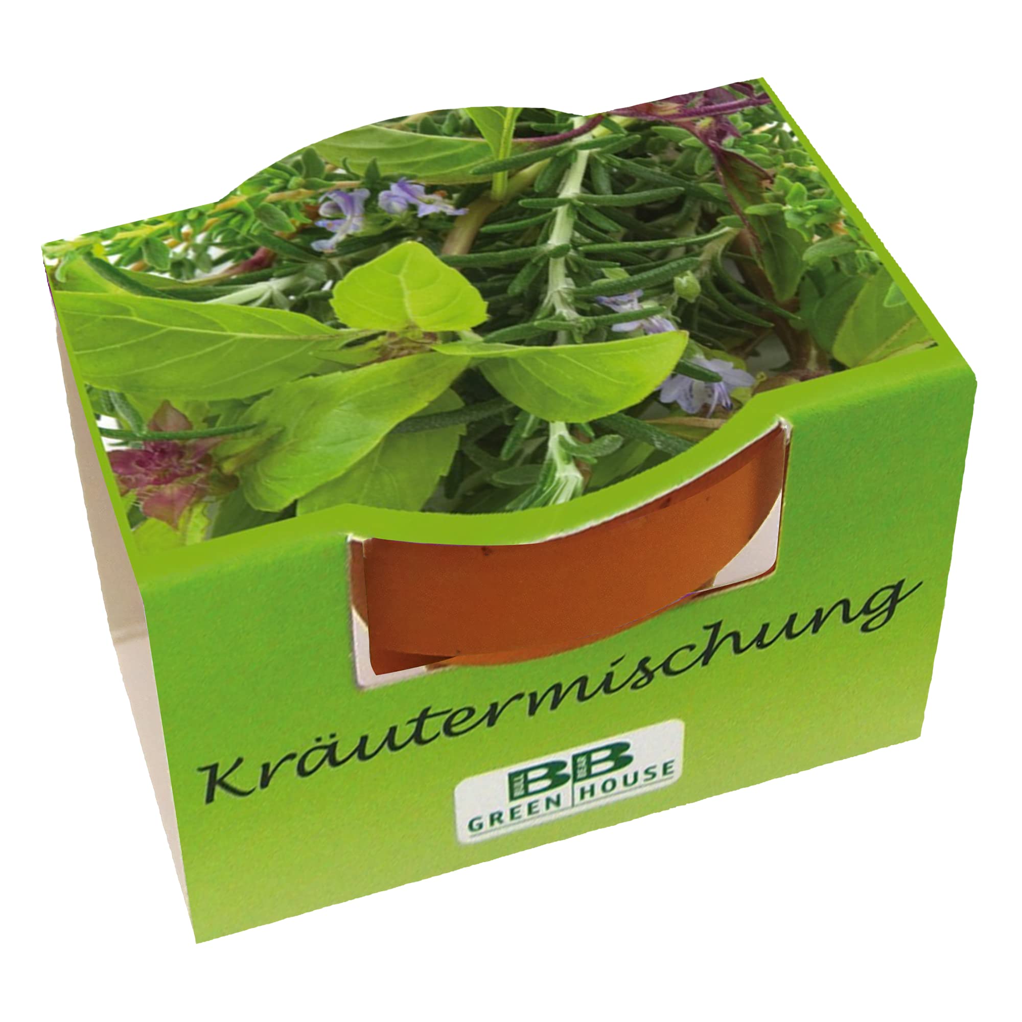 Bull & Bear Mini Anzuchtset Kräutermischung Samen Set mit Tontöpfchen mit Kräutermischung, Pflanzsubstrat und Pflegeanleitung