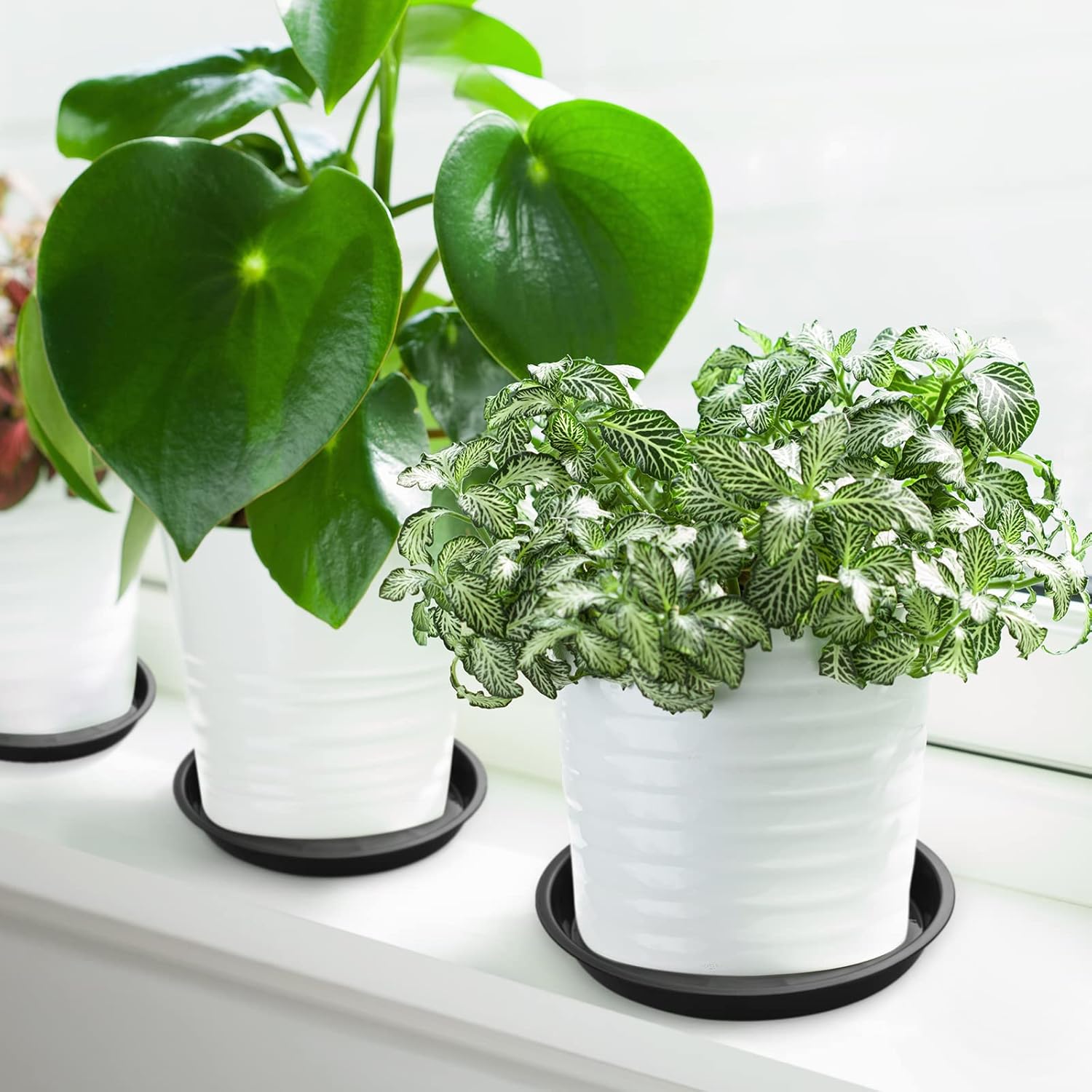 Honeydak 48 Pieces Plant Saucer Potted Plant Trays Round Plastic Drainage Tray Sturdy Drip Flower Saucers for Potted Indoor Outdoor Home Garden, 4/6/ 8/10/ 12/13 inches (Black)