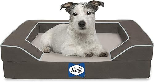 Sealy Lux - Cama ortopédica de cuatro capas con gel de enfriamiento para perro S Gris moderno