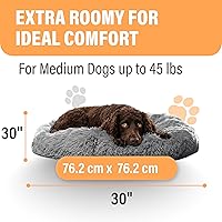 Vista 4 de Active Pets cama para perro, relajante, para perros pequeños, medianos y grandes, cama antiansiedad, suave y mullida para perros y gatos, cómoda
