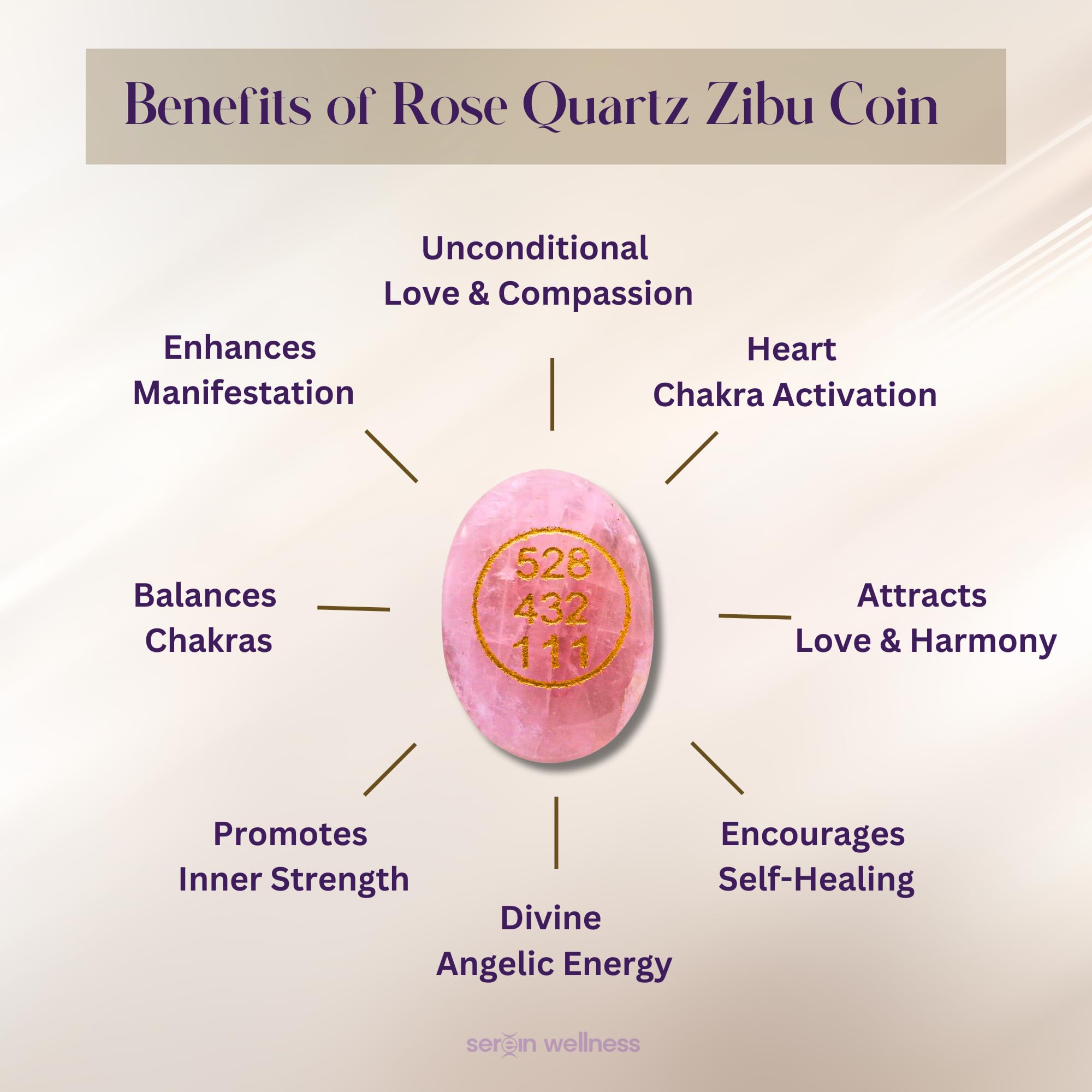 SEREIN Green Jade, Pyrite with Rose Quartz Zibu Coin Combo Set Healing Crystal Money Attracted Pocket Lucky Stone Zebu Coins For Vastu & Good Luck Prosperity, Positivity In Money, Love (1 Each) 4