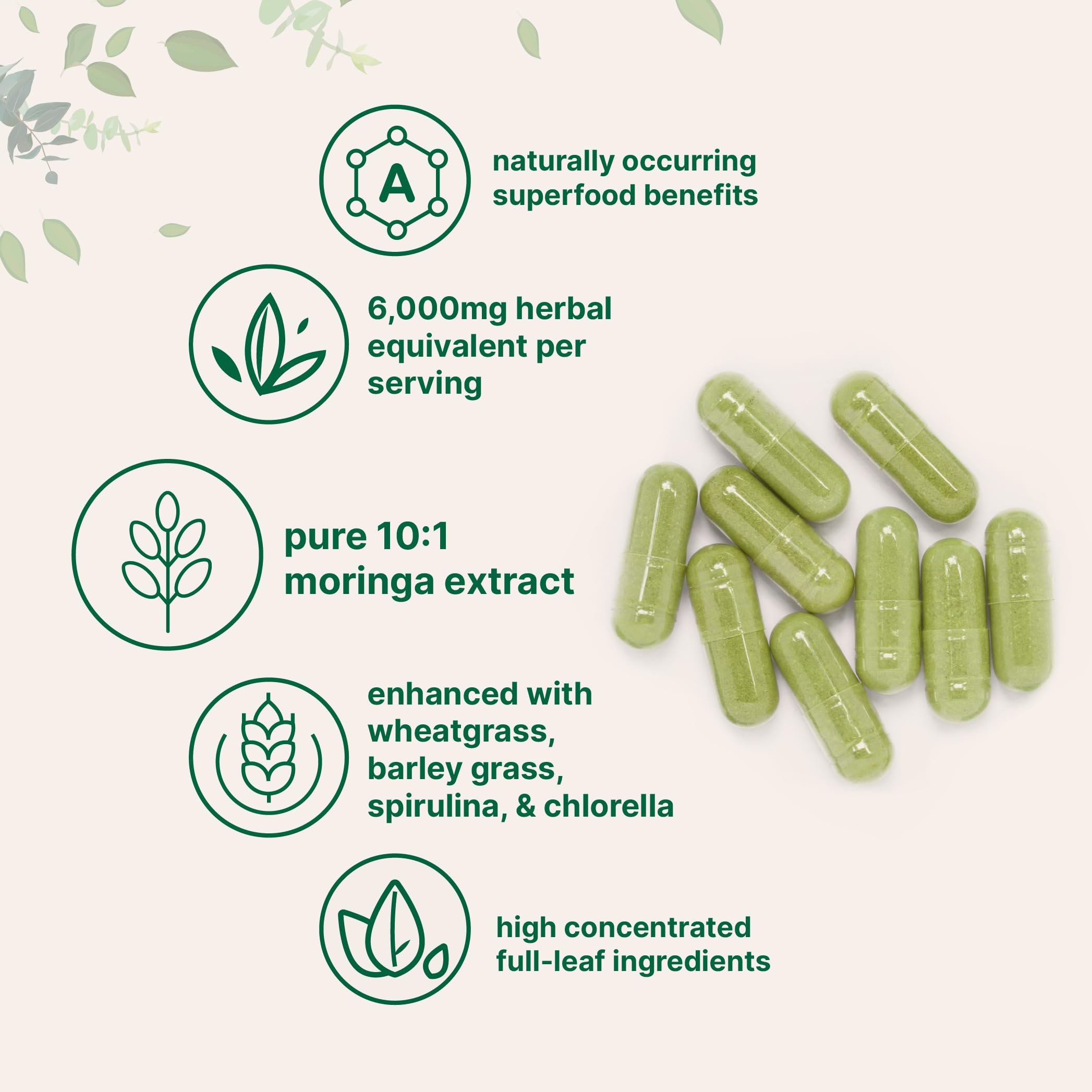 Micro Ingredients Moringa Oleifera | 300 Capsules with Supergreens Blend of Wheatgrass, Barley Grass, Spirulina, & Chlorella | Antioxidant Supplement, Energy, & Immune Support | Non-GMO — Amazon image 3
