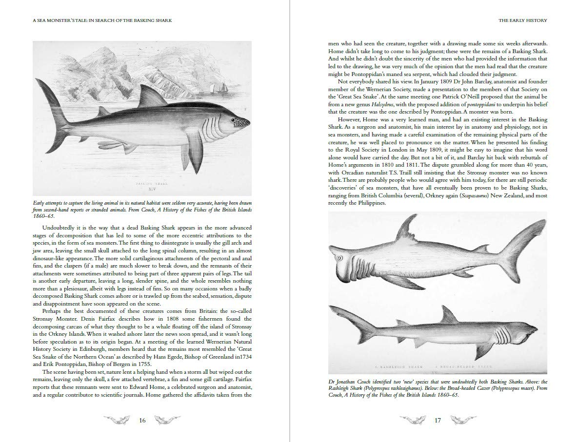 A Sea Monster's Tale: In Search of the Basking Shark (Wild Nature Press)