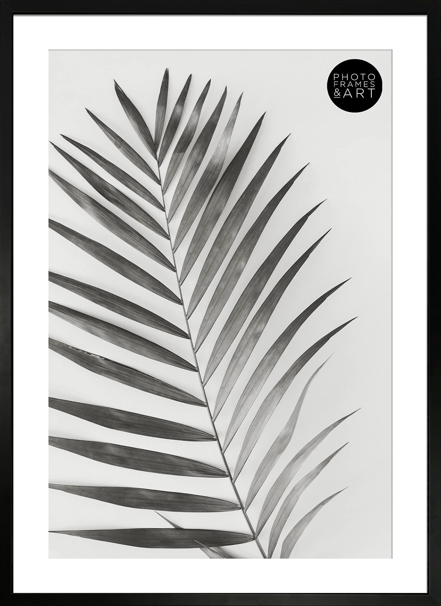 pf+a Winchester - Perspex Window - Wooden Premium Photo Picture Poster Frame/Wooden Black Frame for A2 With Mount