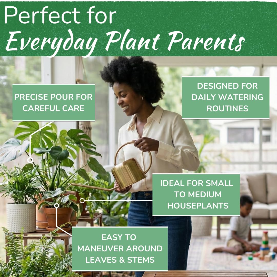Konewka ze stali nierdzewnej do roślin doniczkowych od Houseplant Resource Centre, pojemność 1 l, do roślin wewnątrz/na zewnątrz, ze szczotkowanego złota