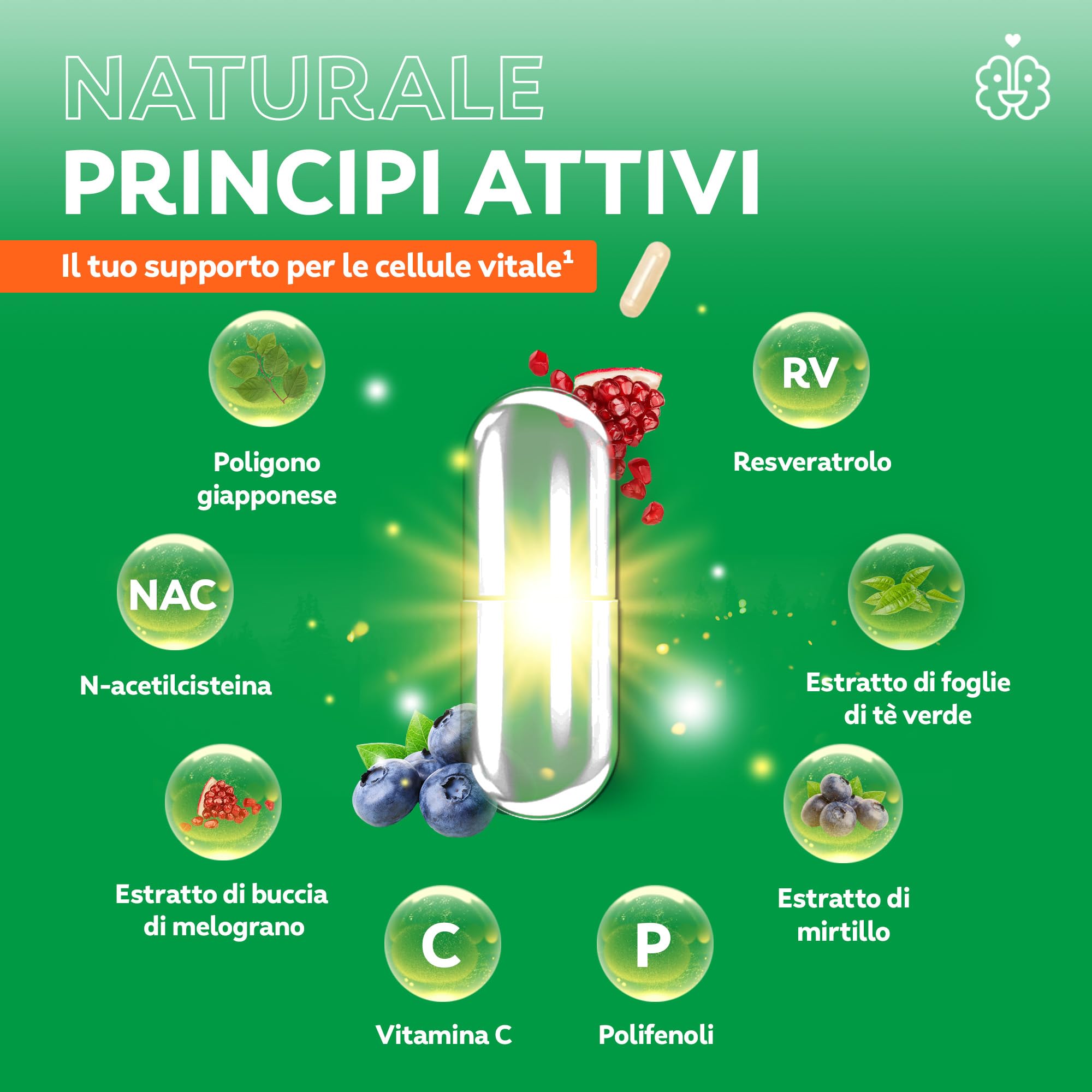 serotalin Active Body Cardio Vital+| Resveratrolo ad alto dosaggio con NAC, vitamina C e polifenoli | 100% vegano & Made in Germany | 1 mese | 60 capsule